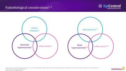 Bronchial and nasal epithelium: are they the same?